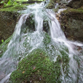 Пред водата