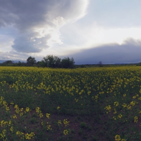 Панорама с рапица