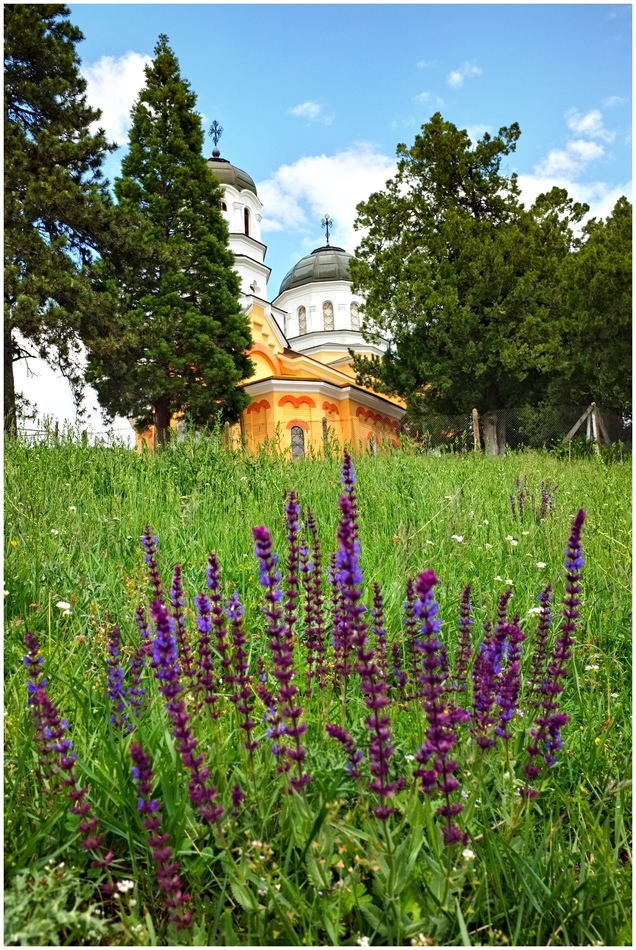 Поглед към манастира