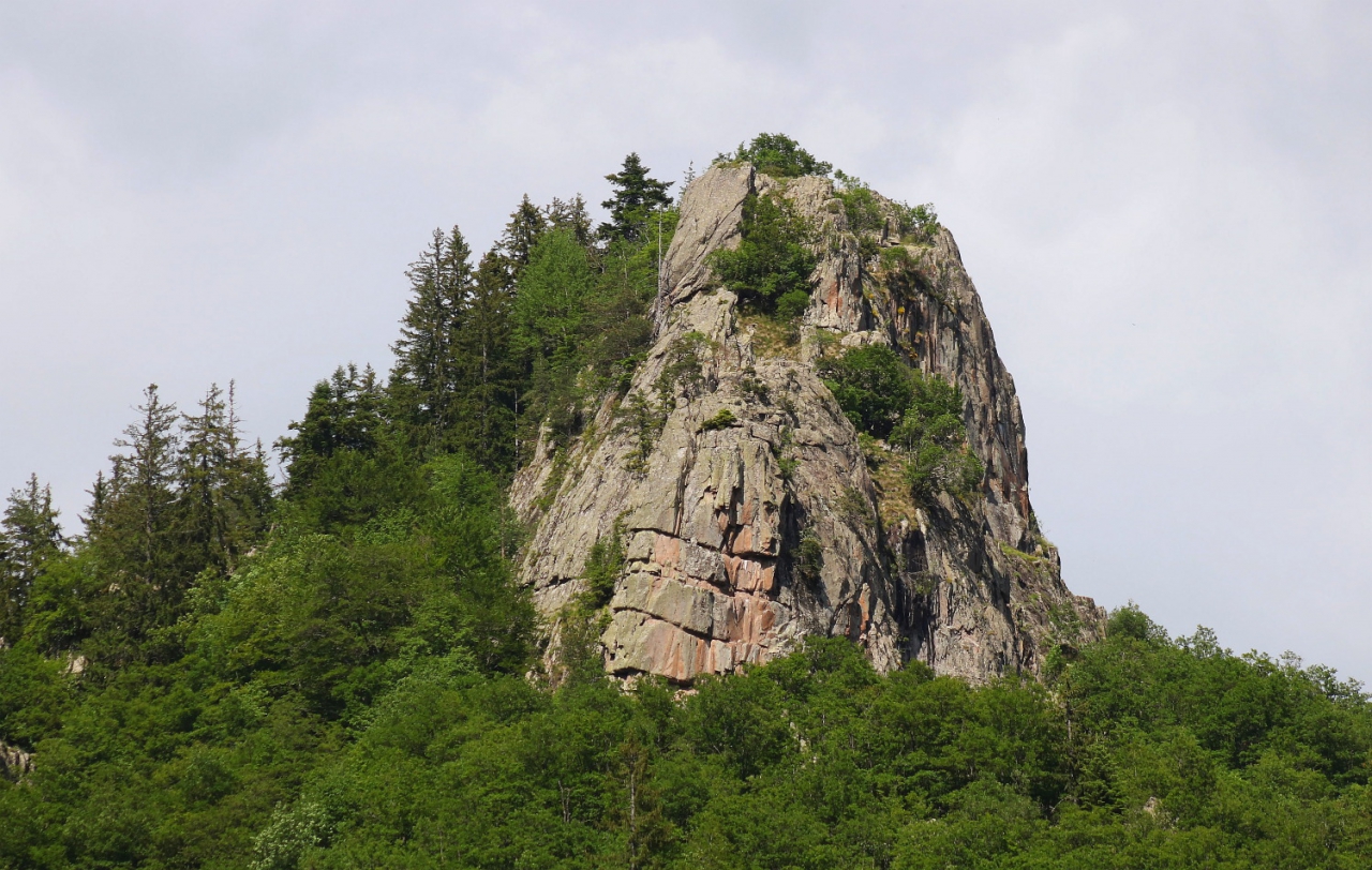 Поглед към скалата