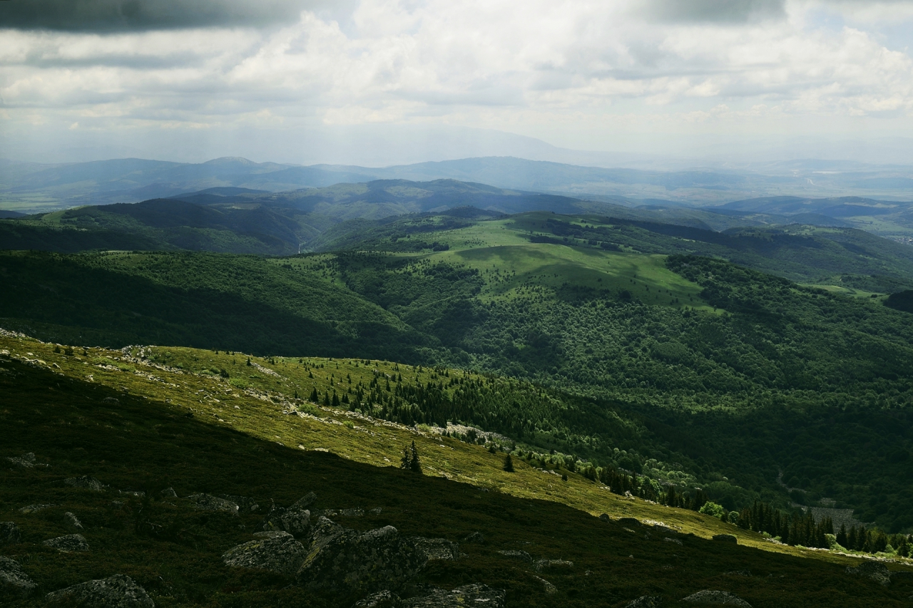 Сенки