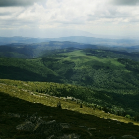 Сенки