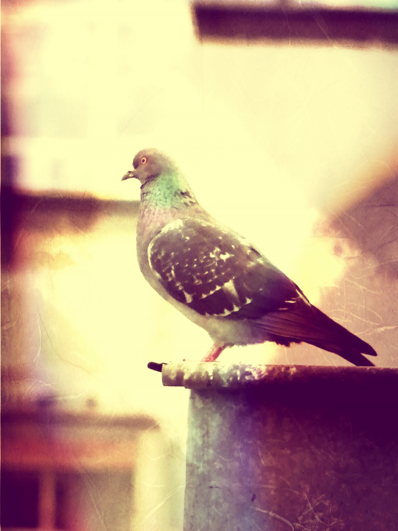 living on the edge..................