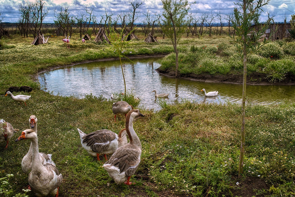 Край гьола