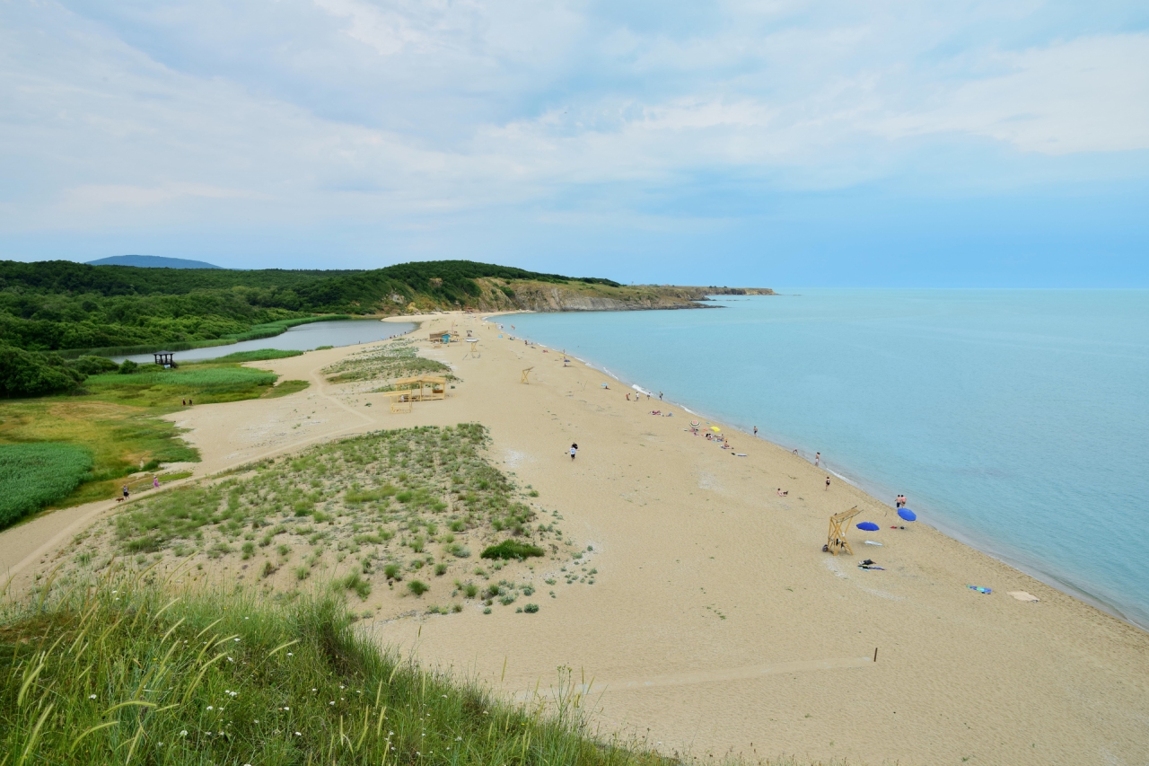 Там където реката се среща с морето