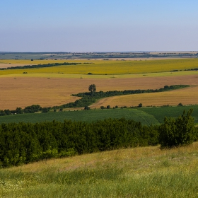 Една протегната ръка