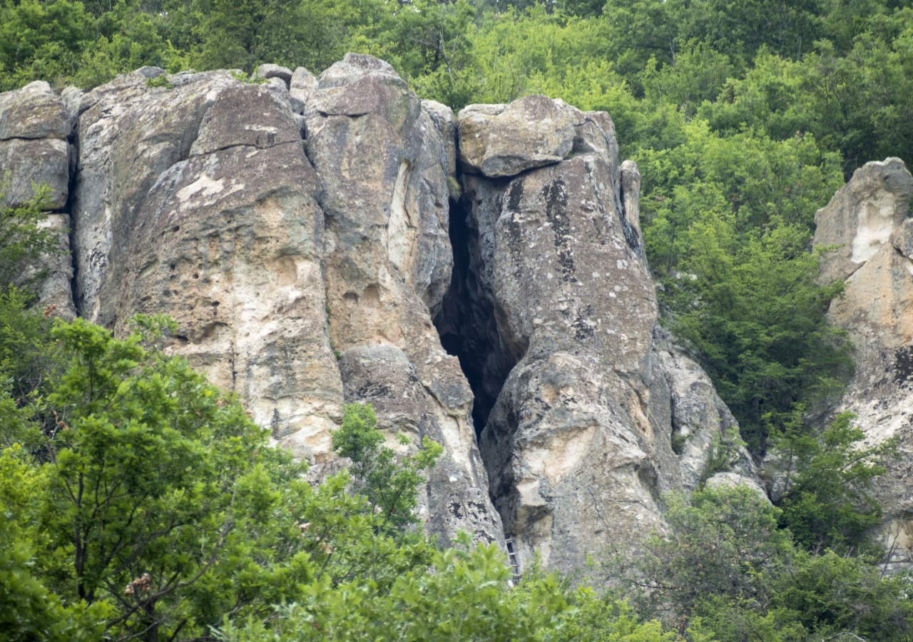 Утробата