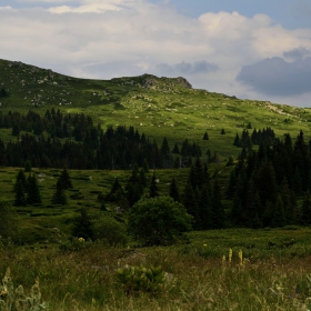 Променлива облачност