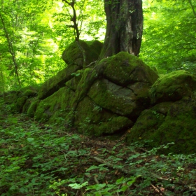 Гора