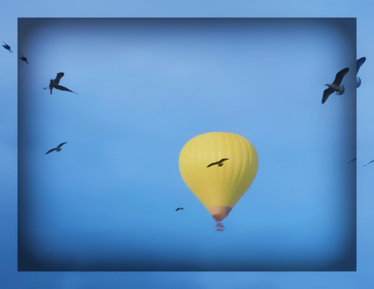 Fly Away With Me
