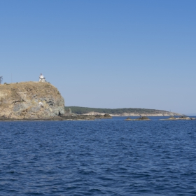 Маслен нос