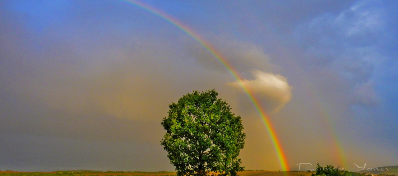 Catch The Rainbow