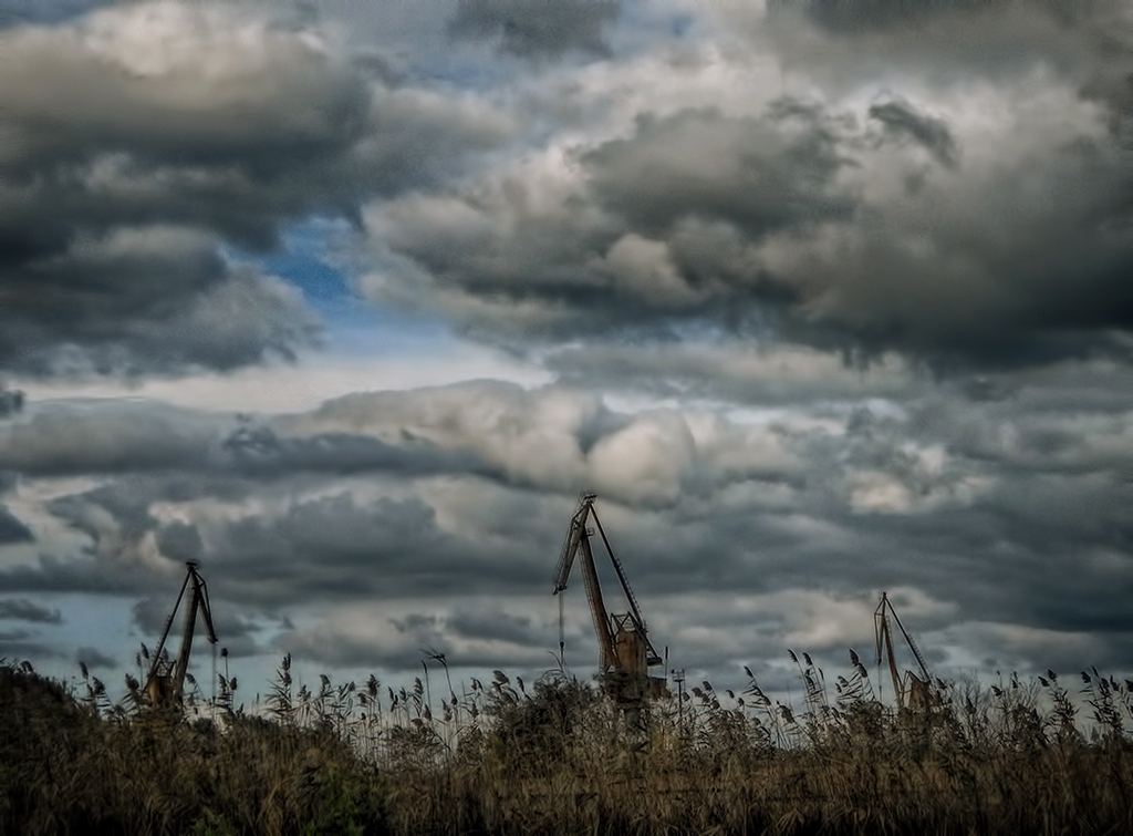 Кранове сред тръстиките