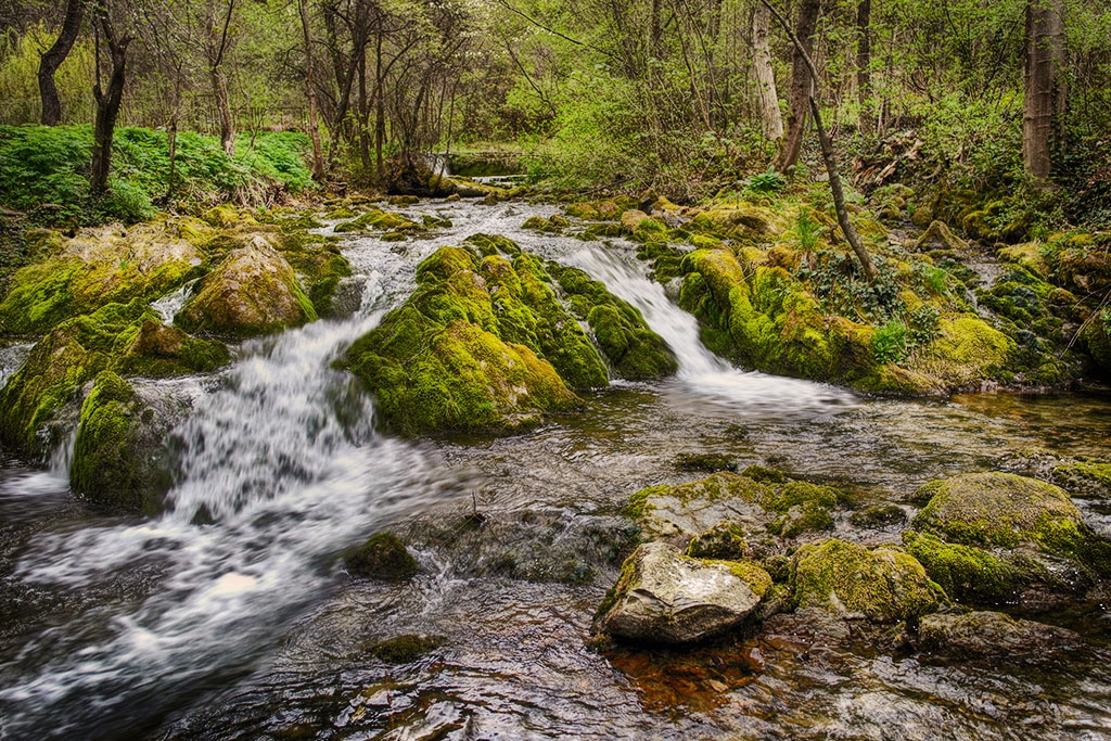 Река в парка