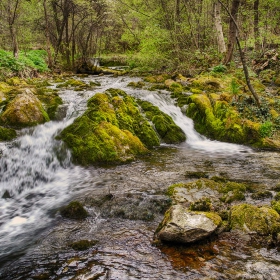 Река в парка