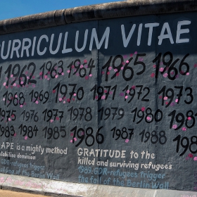 CURRICULUM VITAE*