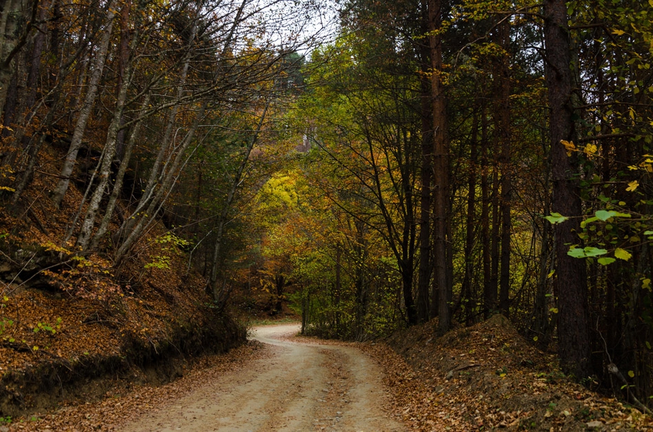 Път в планината