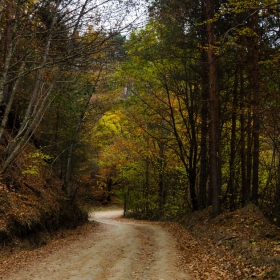 Път в планината