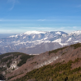 Старопланинско