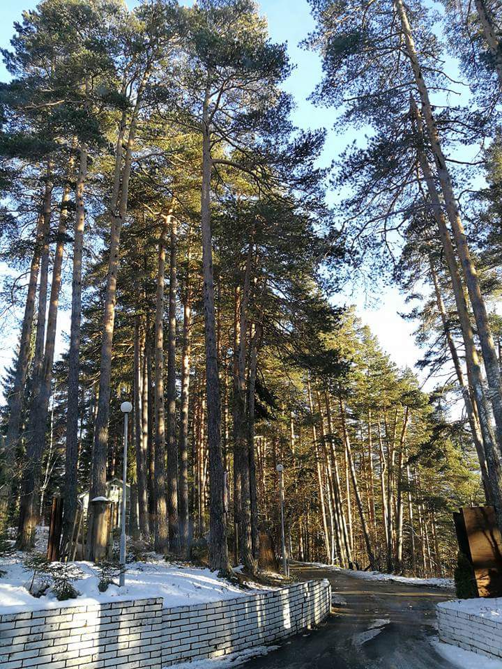 Боровец