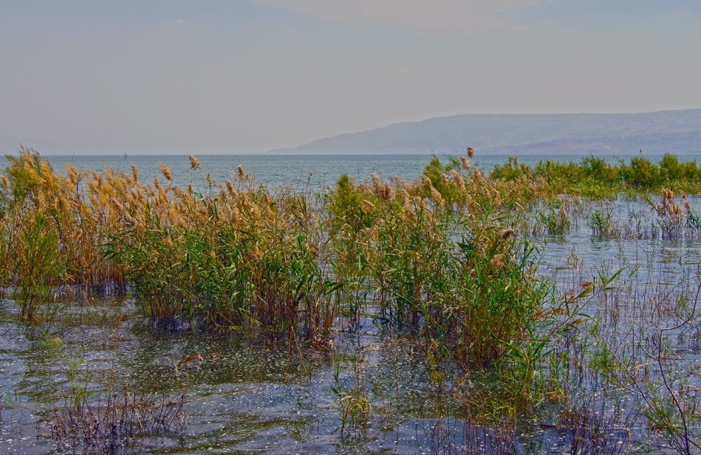 Галилейско море