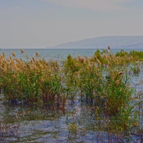 Галилейско море