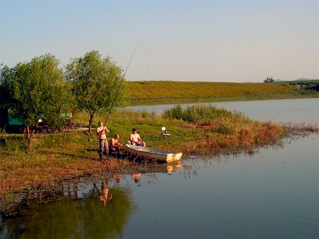 Рибари