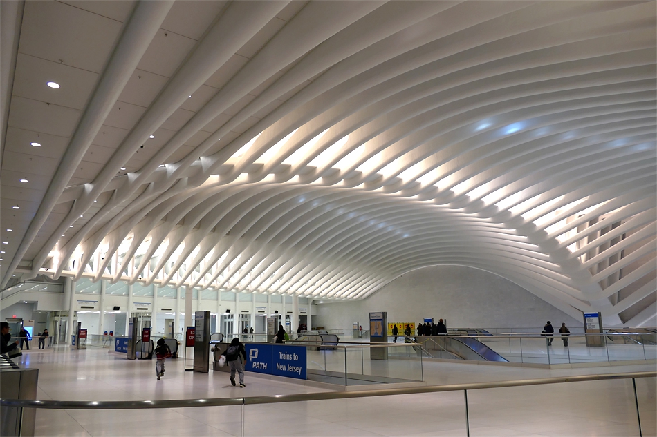 The Oculus