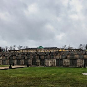 Weinbergterrassen, Potsdam