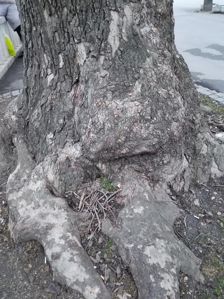 от поколенията