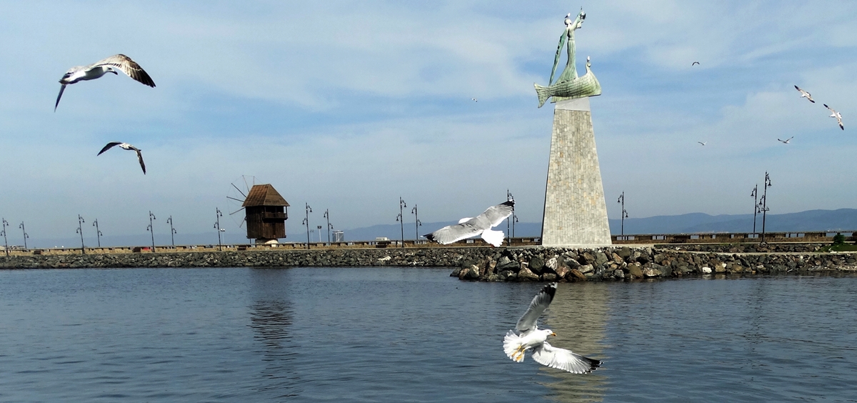 Гларуси в Несебър