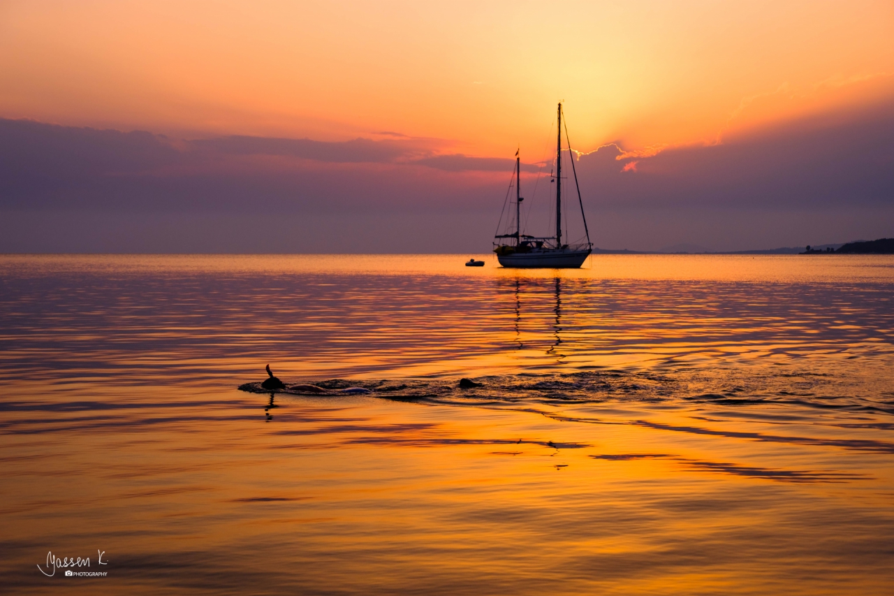 Evening swim