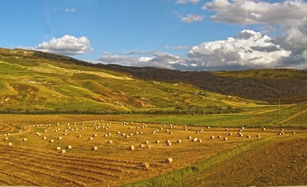 Terra Siciliana