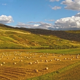 Terra Siciliana