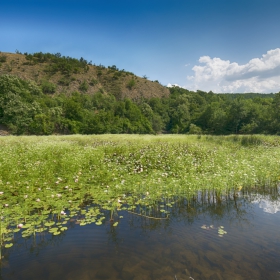 Езерото с водните лилии край село Летовник