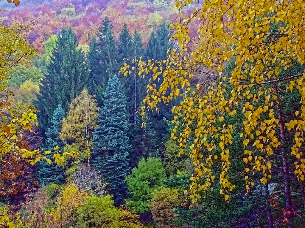 Есенна палитра