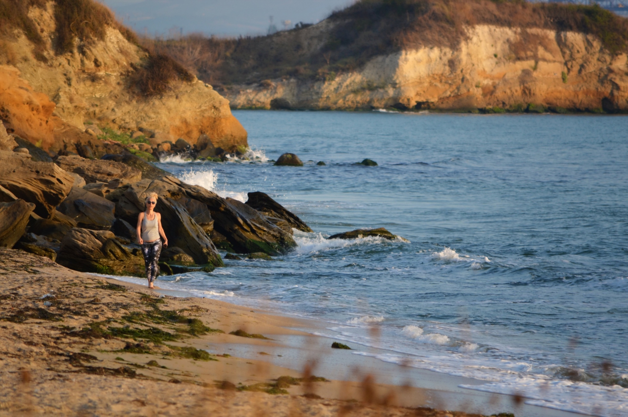 Rocky beach