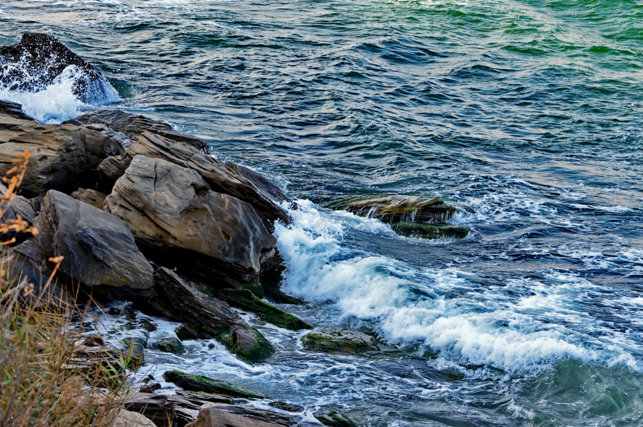 Rocky coast