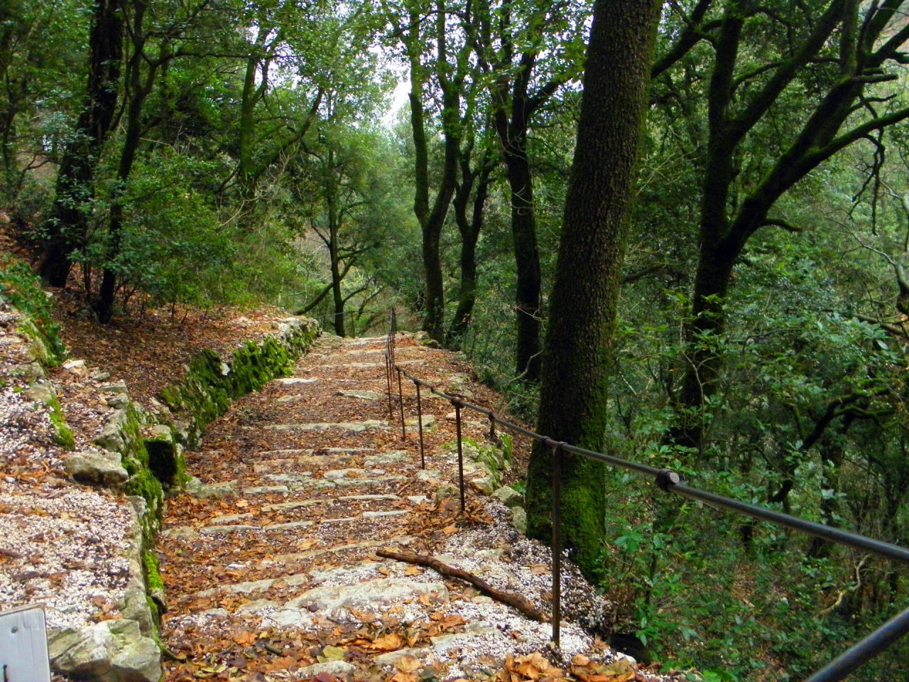 По горската пътека