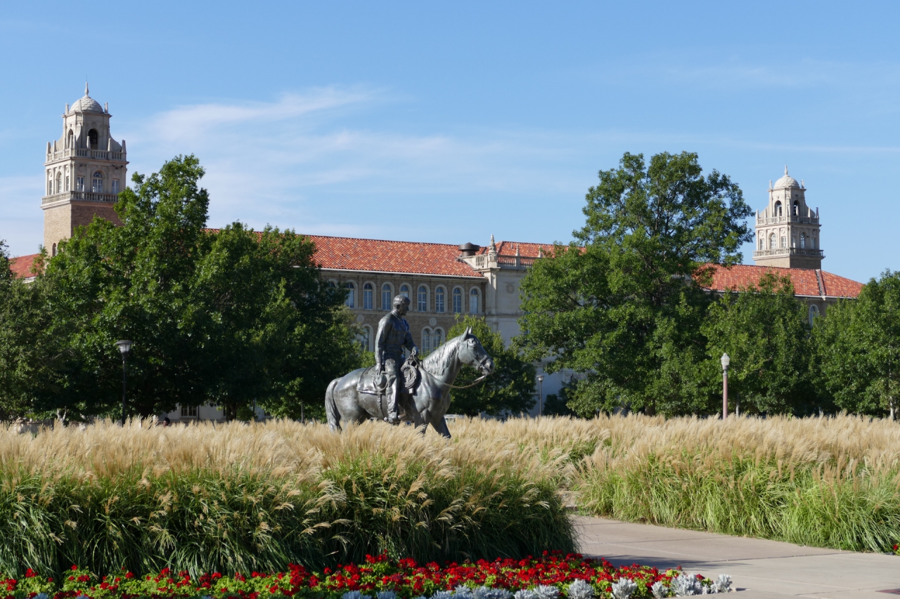 Will Rogers and Soapsuds