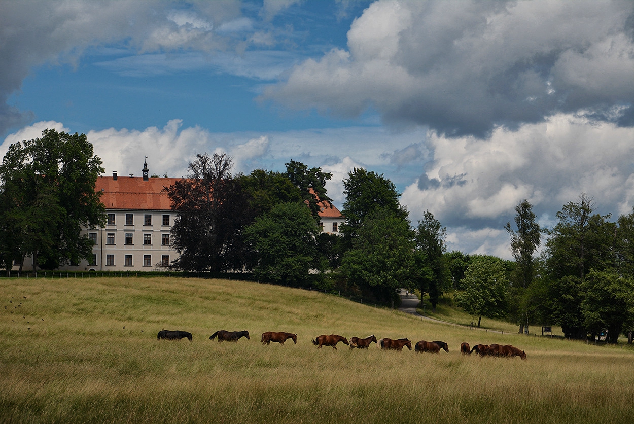 Herrenchiemsee Abbey, 1649 г.