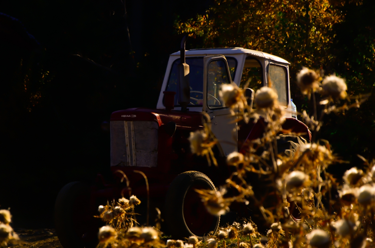Farm