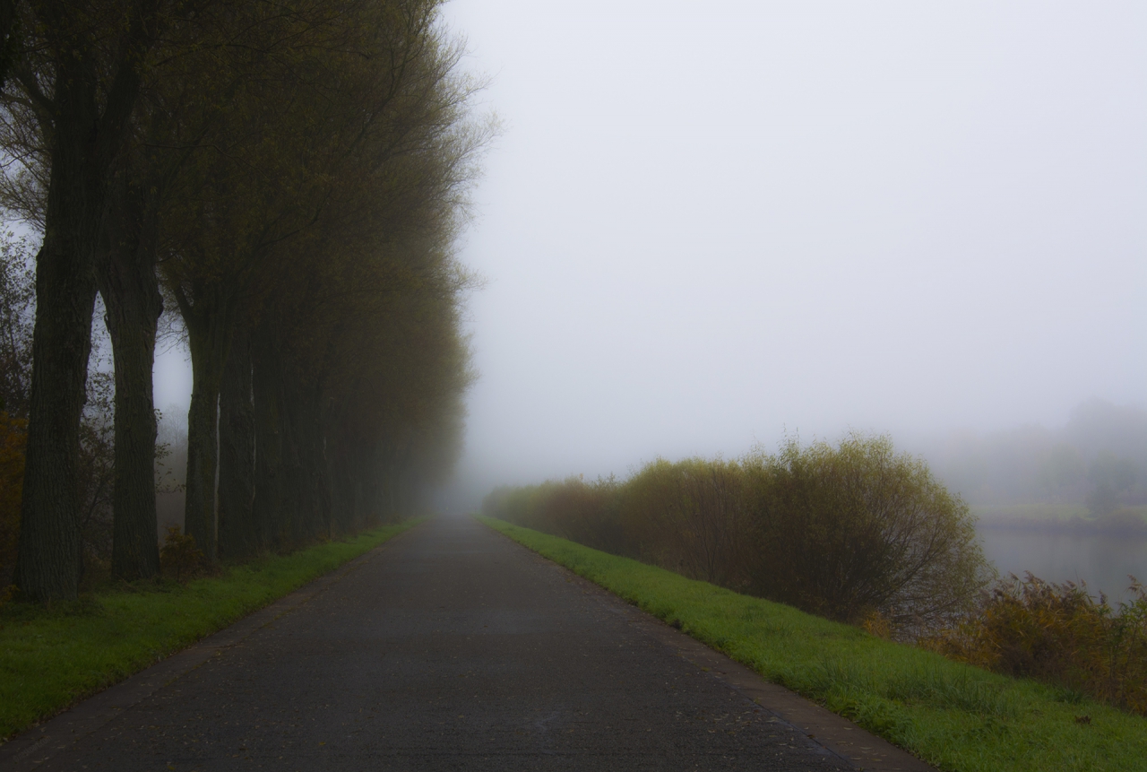 Road in the fog