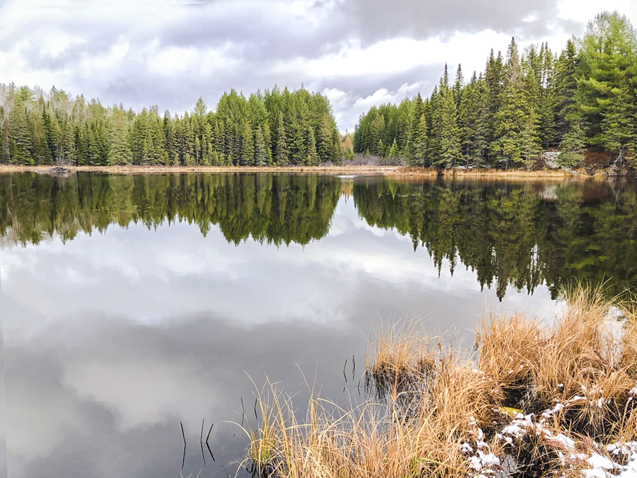 First Snow Melting. Early November, Lake Fitzgerald, Algonquin Park