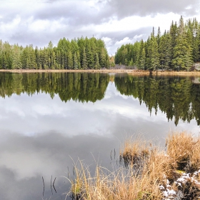 First Snow Melting. Early November, Lake Fitzgerald, Algonquin Park