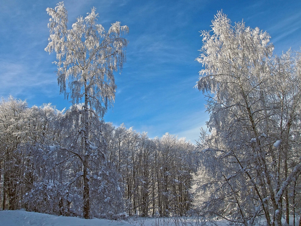 Зимен пейзаж