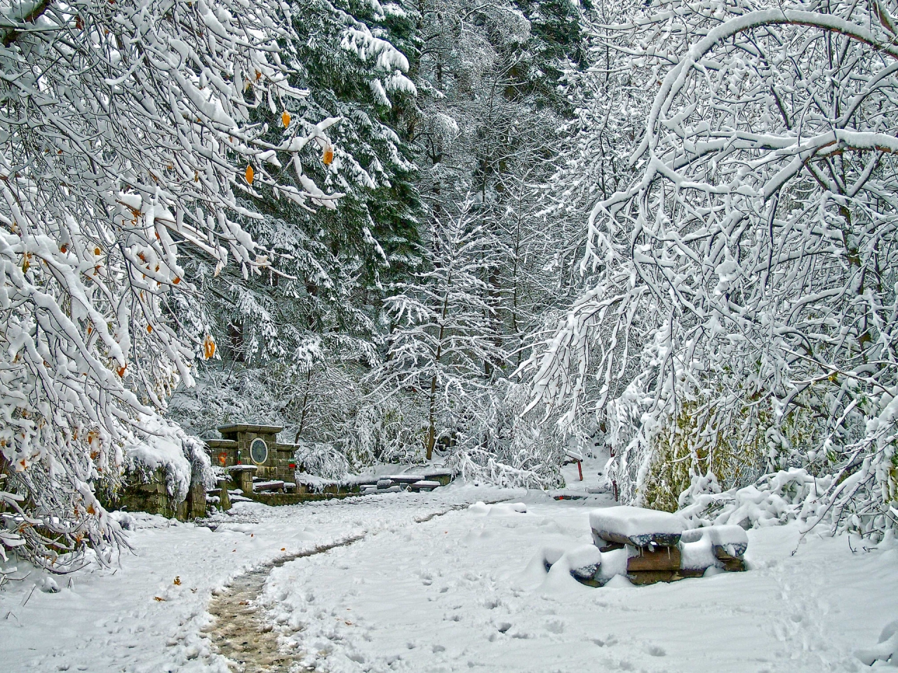Бялата вода