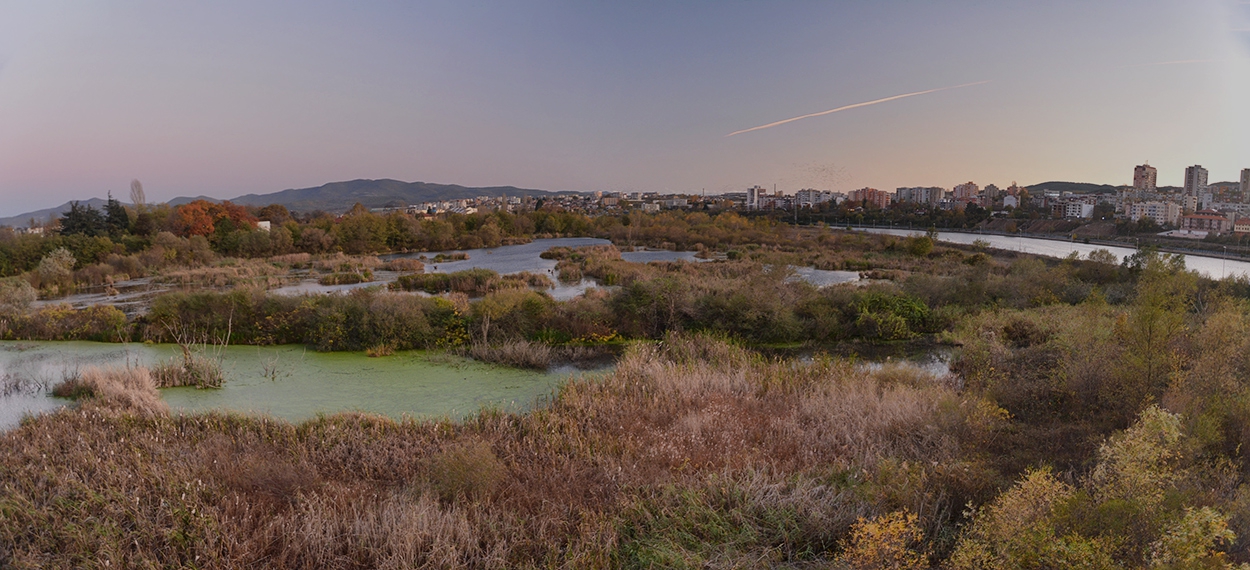 Чапловата колония край Водното огледало в Кърджали*