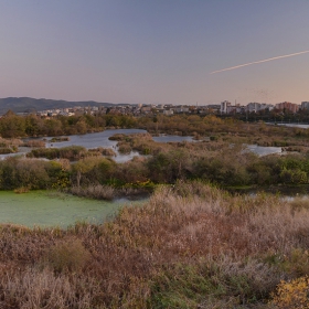 Чапловата колония край Водното огледало в Кърджали*