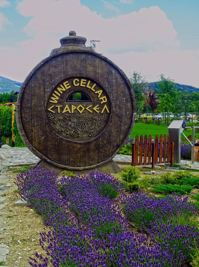 Wine Cellar - Старосел